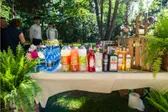 Galeria: bar w ogrodzie